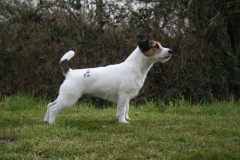 jack_10-04-2007_17-23-04._daisy